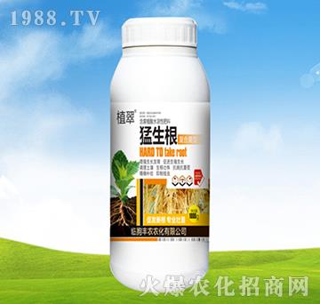 猛生根-植翠-豐農(nóng)農(nóng)化