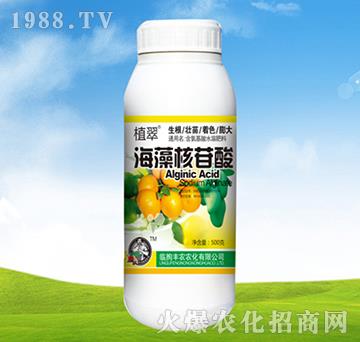 ���������-ֲ��-�S�r(n��ng)�r(n��ng)��