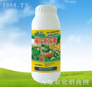 催花護花素-植翠-豐農(nóng)農(nóng)化