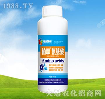 氨基酸-植翠-豐農(nóng)農(nóng)化