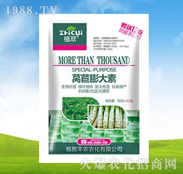 萵苣膨大素-植翠-豐農(nóng)農(nóng)化