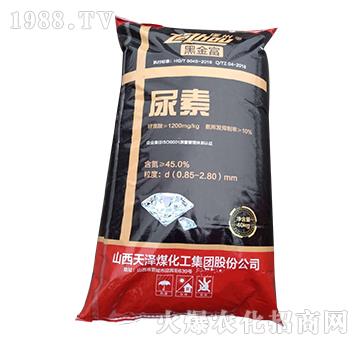 ����-�ڽ�-�ӻ�����