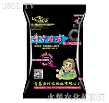 ΢�������-ѩ����̿-����r(n��ng)