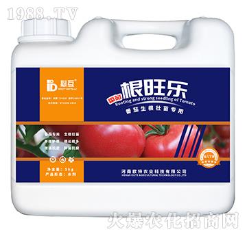 �����������猣�÷�-��