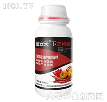 �������þ��������Ⱥ-��������-���ϰ���