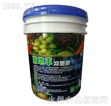 �����S�_ʩ��-����S����