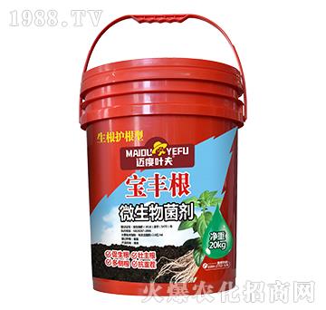桶裝生根護(hù)根型微生物菌劑-寶豐根-邁度葉夫