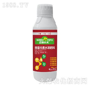 瓶裝微量元素水溶肥料-邁度葉夫