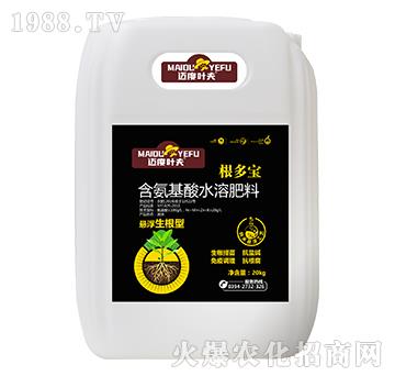 桶裝懸浮生根型含氨基酸水溶肥料-根多寶-邁度葉夫