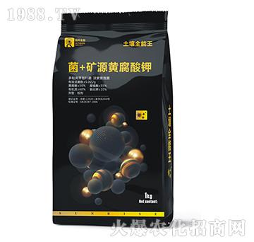 菌+礦源黃腐酸鉀-土壤全能王-日升生物