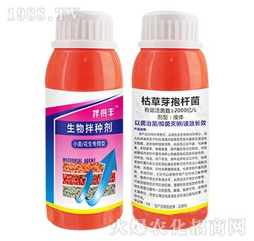 С���������������N��-����S-���T����