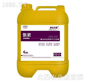 ���ϑB(t��i)ȫ�I�B(y��ng)ʮ��Ԫ�أ�Ͱ��-����-��������-��ķ�R