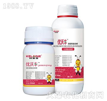 12Ԫ���������w��-��(y��u)