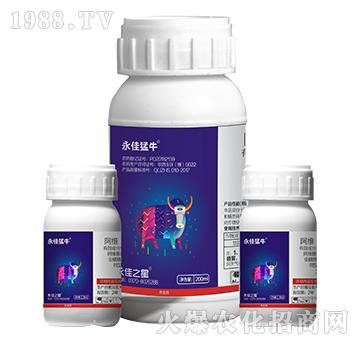 永佳猛牛-永佳之星