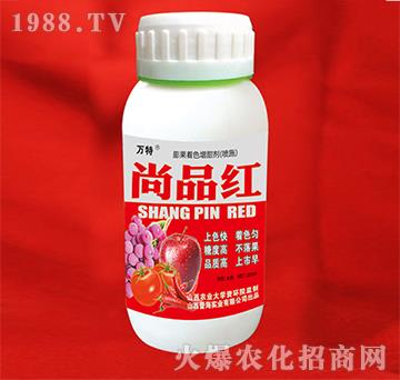 促根膨果增色劑（噴施）-尚品紅-蕾海實業(yè)
