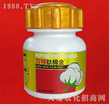 肽棉金-萬特-蕾海實業(yè)