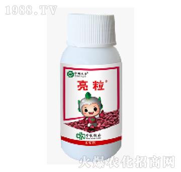 600��ÿ�����x��-����-���r(li��n)��