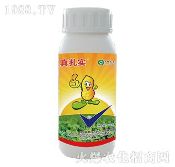 48%吡蟲(chóng)·硫雙威-真扎實(shí)-中農(nóng)聯(lián)合