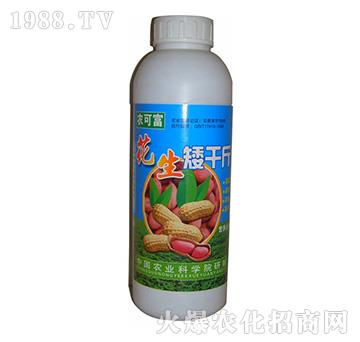 ������ǧ��-�r(n��ng)�ɸ�