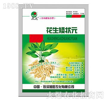 全功能復(fù)合型花生矮狀元-農(nóng)可富