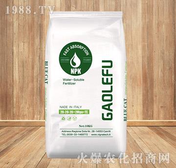 ����Ԫ��ˮ�ܷ���20-20-20+2MgO+TE-���K�r�Y