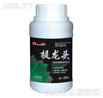 ֲ�：���ޏ̈́�-�����^-������A