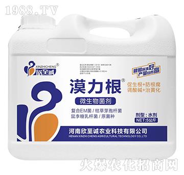 5公斤微生物菌劑-漠力根-欣至誠