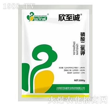 1000g��������-�����\