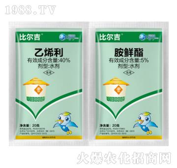 ������ÿ������a�{��(ji��)��-�Ƞ���-��������