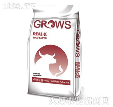 �����-���_ʩ-��ʢ����