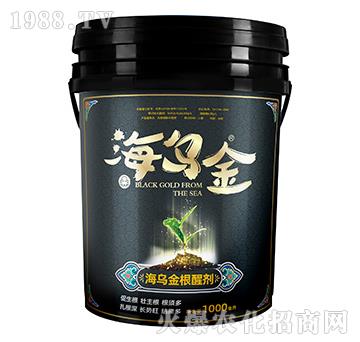 ��������ф�-������-��������