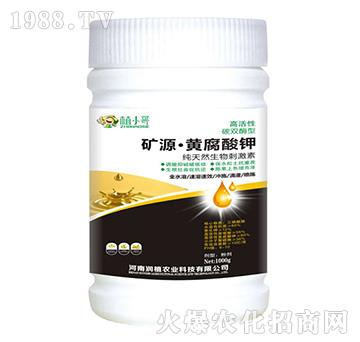 �VԴ�S�����-��ֲ