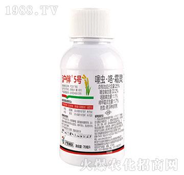 25%���x������˪�`-����5̖(h��o)-��(li��n)