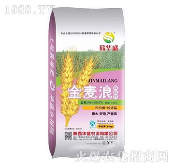 ������-�Aʢ�r�Y