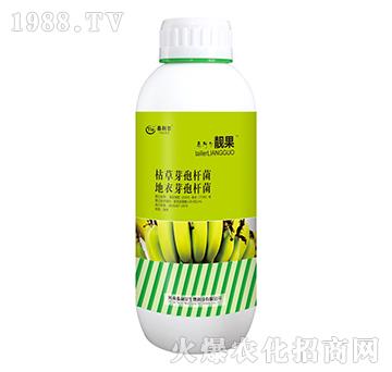 香蕉專用枯草·地衣芽孢桿菌-靚果-泰利爾