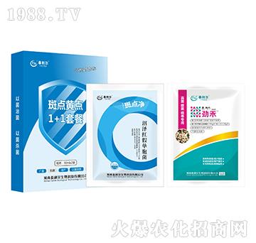 斑點黃點1+1套餐-泰利爾