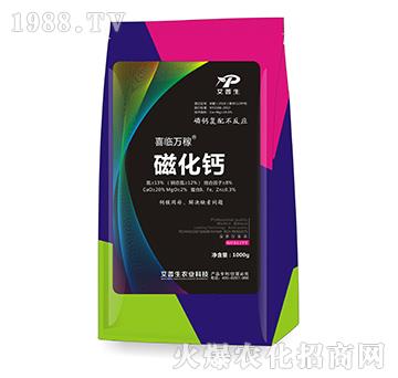 �Ż��}-ϲ�R�f(w��n)��-������