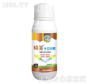 琦美十三元素-艾普生