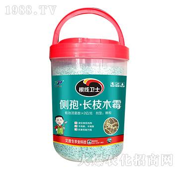 根線衛(wèi)士-艾普生