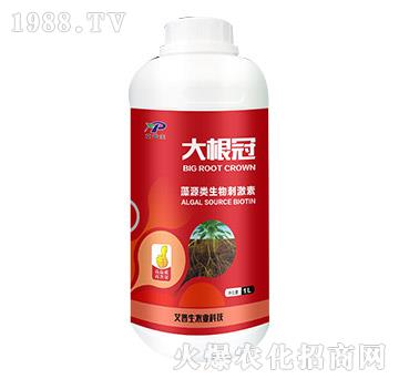 藻源類生物素-大根冠-艾普生