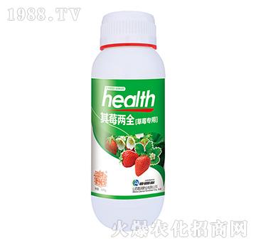 草莓專用-其莓兩全-嘉潤(rùn)肥業(yè)
