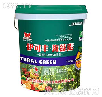 ̼ø������������-�����S��������-����