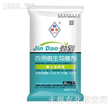 ϡ�����}���r(n��ng)��΢�������-����