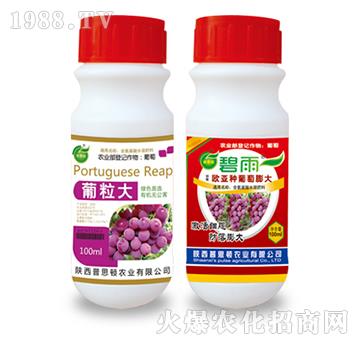 ��������-����-��˼