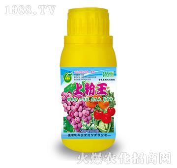 �Ϸ���-����-��˼�D�r(n��ng)