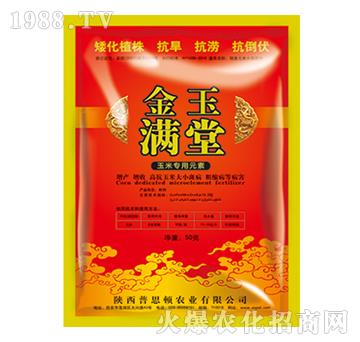 ���׌���Ԫ��-����M��-��˼�D�r�I(y��)