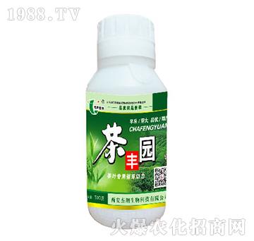 ���~���ô�ѿ��(d��ng)��-���S�@-��������