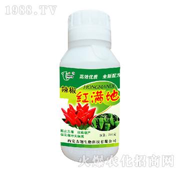 �����t�M��-��������