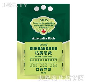 ���S����-ʩ�ϸ�-����