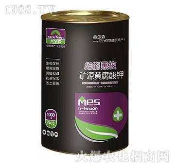 1000g�VԴ�S�����